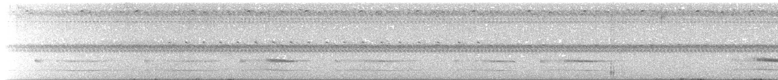 Ocellated Crake - ML449315341