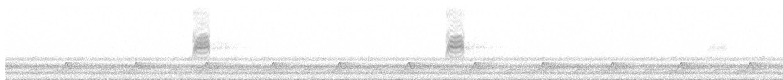 Schwarzkehl-Nachtschwalbe - ML449319741