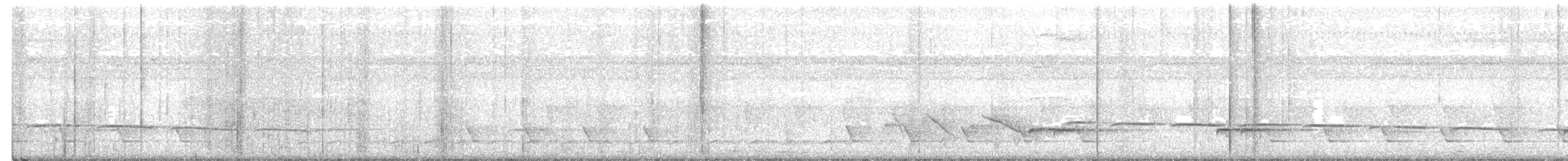 Short-tailed Babbler - ML449345811