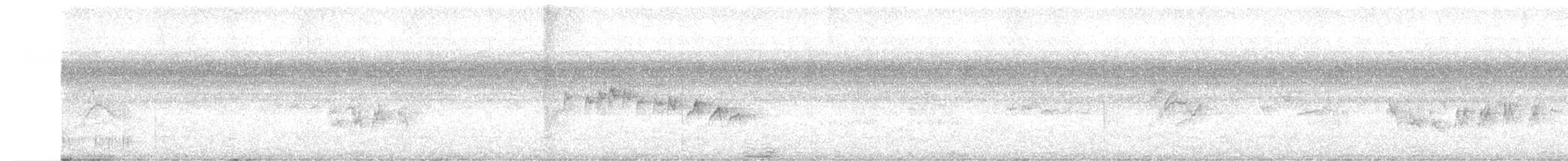 Еленія короткодзьоба - ML449352201