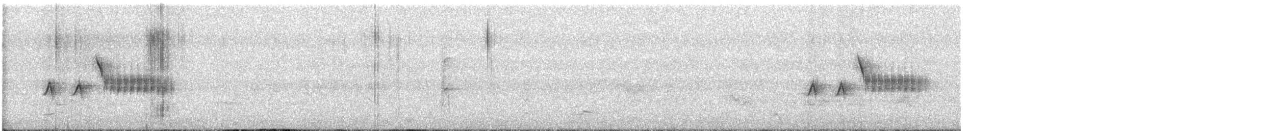 Тауї плямистий - ML449359271
