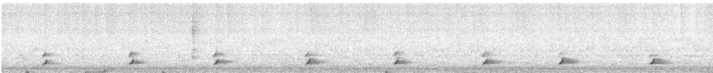 Дрізд-короткодзьоб Cвенсона - ML449360541