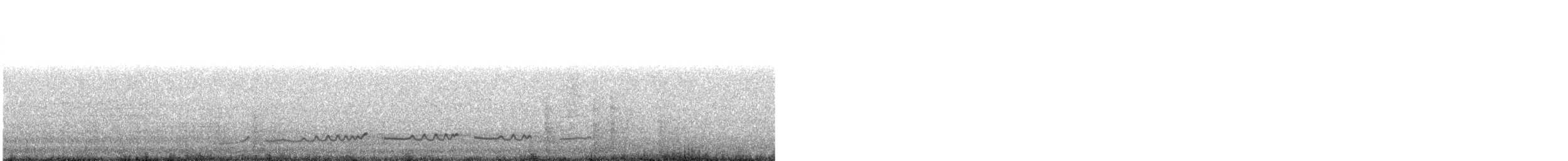 チュウシャクシギ（variegatus） - ML449361141