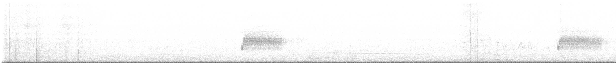 Тауї плямистий - ML449369751