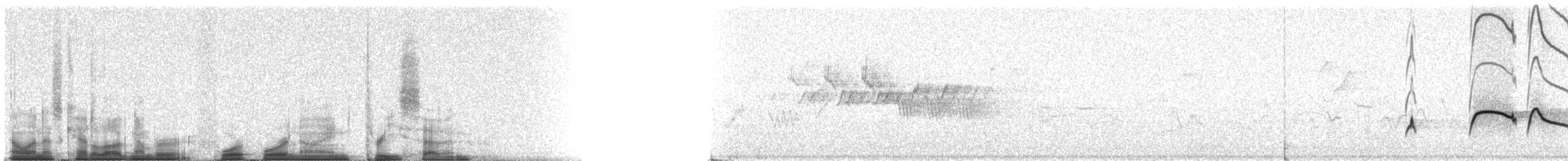 Boreal Sinekkapan - ML44937