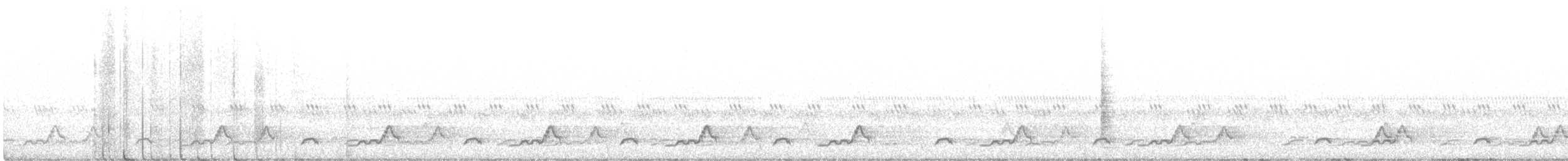 Schwarzkehl-Nachtschwalbe - ML449371041