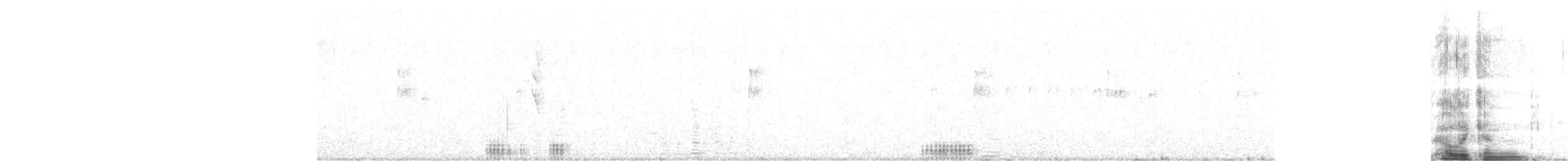 Австралийский пеликан - ML449388991