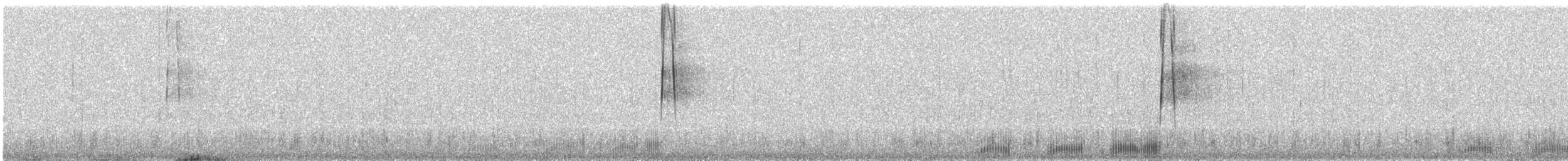 Waldschnepfe - ML449411031