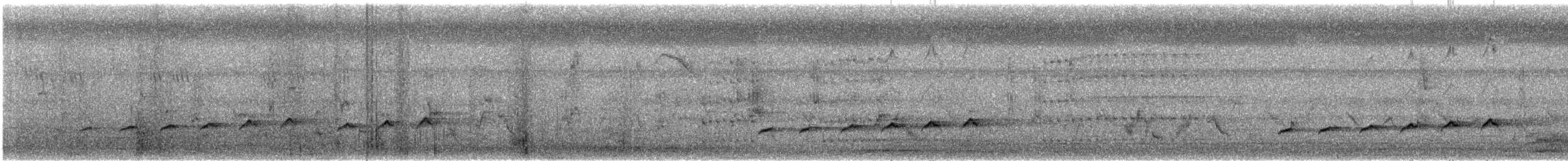 Зозуля-дронго вилохвоста - ML449444471
