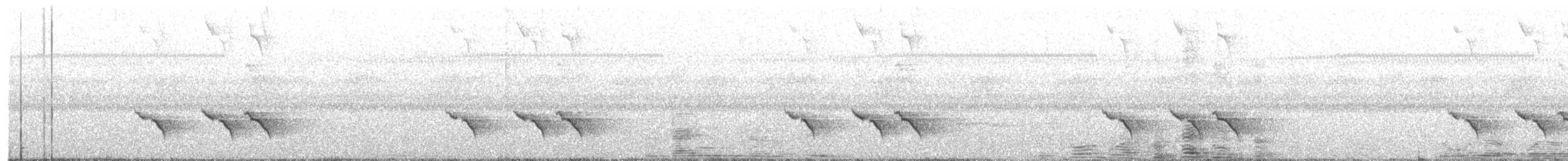 White-browed Shrike-Babbler - ML449483321