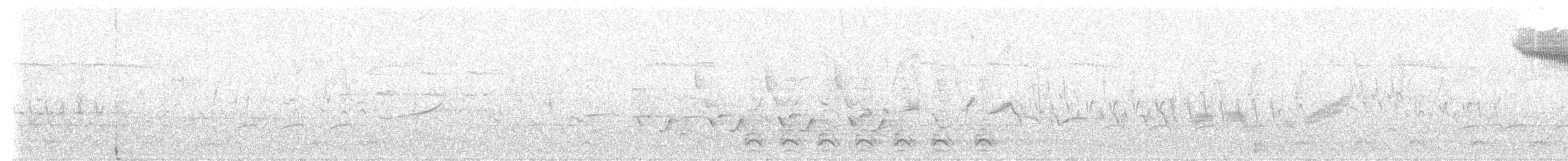 Golden-winged Warbler - ML449513531