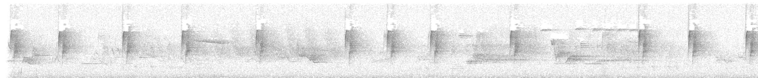 Least Flycatcher - ML449514121