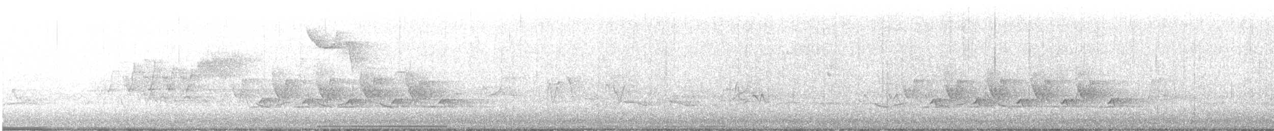 Cerulean Warbler - ML449559161