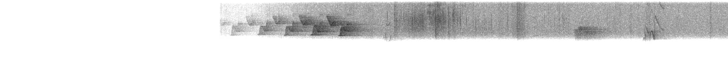 Black-and-white Warbler - ML449674501