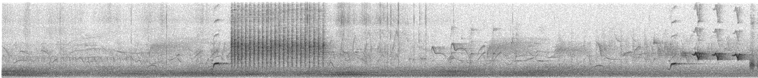 Hybride Ictérie polyglotte x oriole sp. - ML449773581