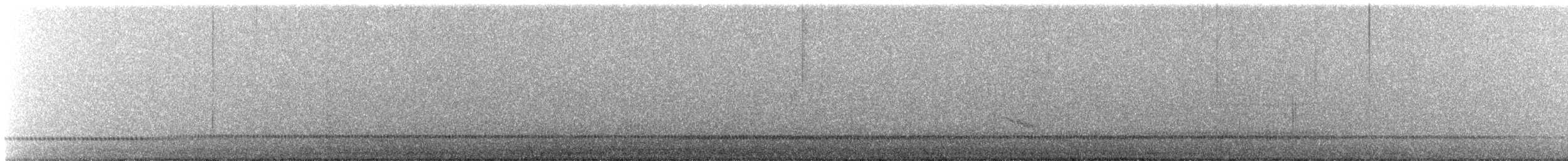 Musendrossel, unbestimmt - ML449773741