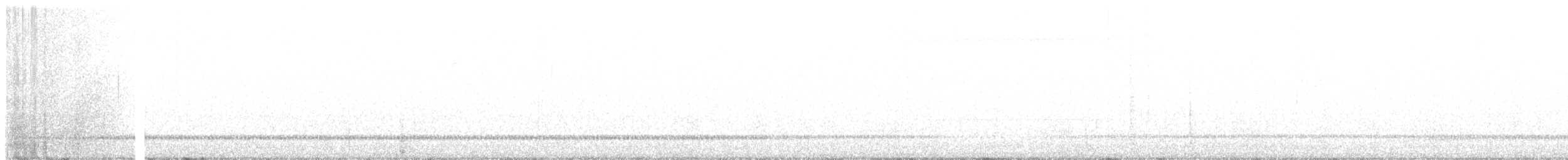 Musendrossel, unbestimmt - ML449773861