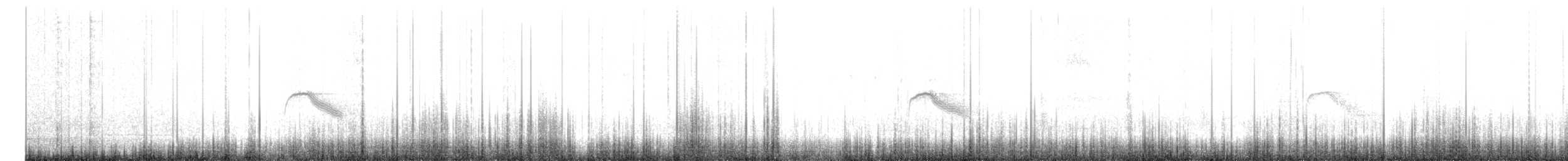 ヒスパニオラチャツグミ - ML449889101