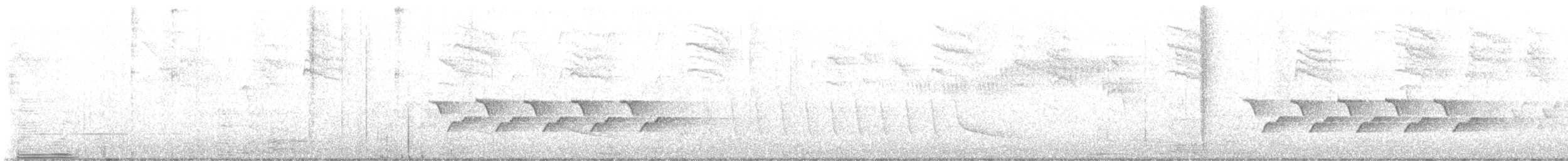 Каролинский крапивник - ML449936071