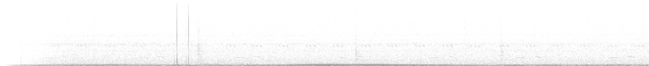Winternachtschwalbe - ML450006821
