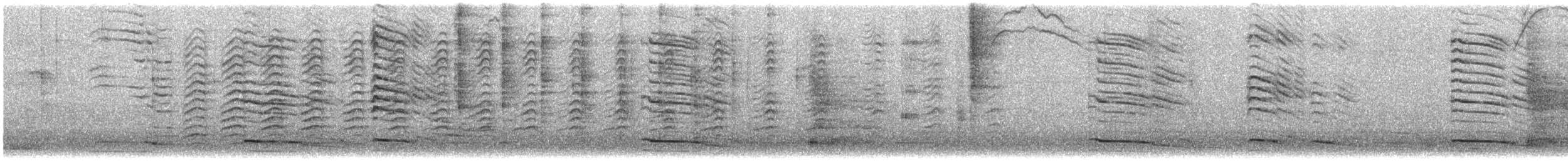 ススケカモメ - ML450012901