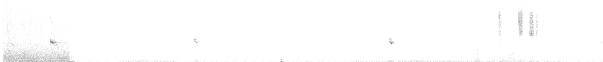 Abert's Towhee - ML450015071