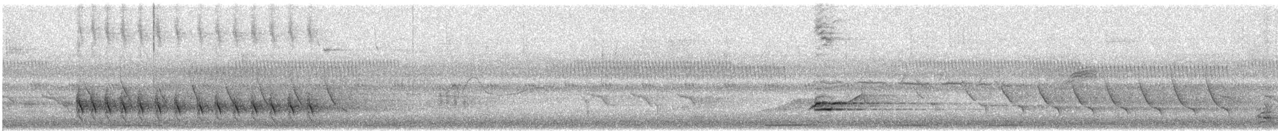 Ictérie polyglotte - ML450034871