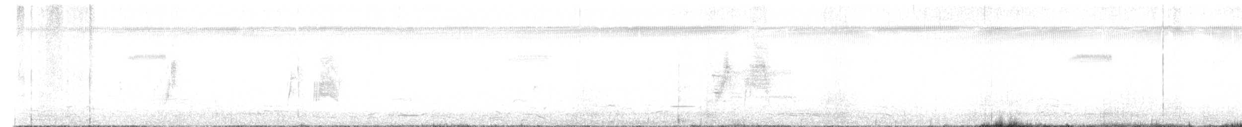 tyranovec vrbový - ML450040421