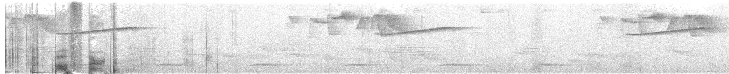 Black-streaked Puffbird - ML450062901