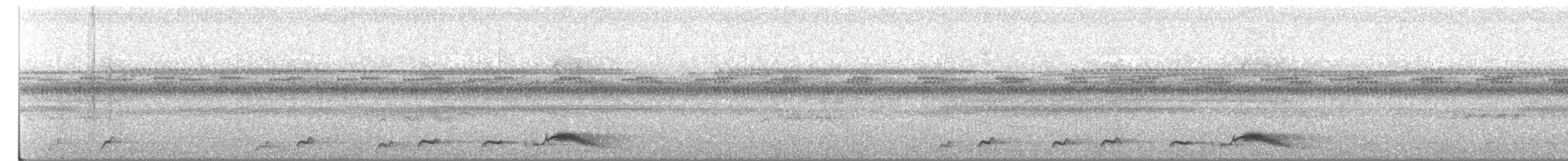 Pauraquenachtschwalbe - ML45006991