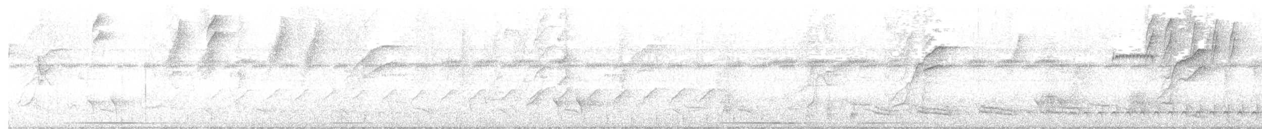 Amazonian Antshrike - ML450105581