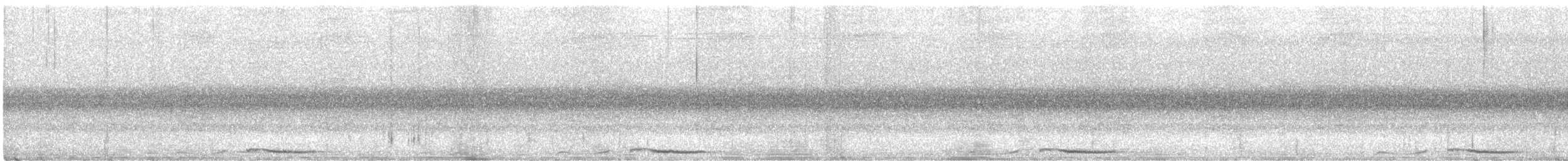 holub panamský - ML450159281
