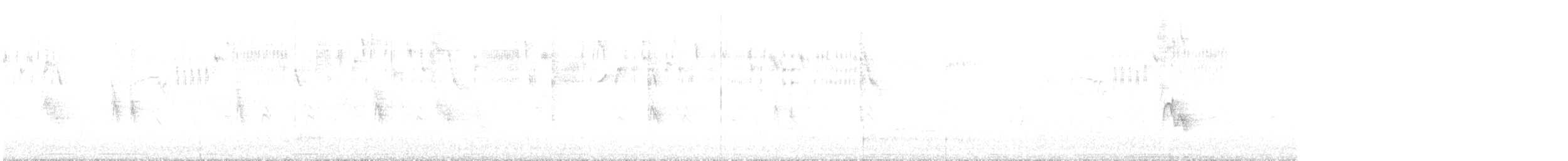 Txirriskila arrunta - ML450284811