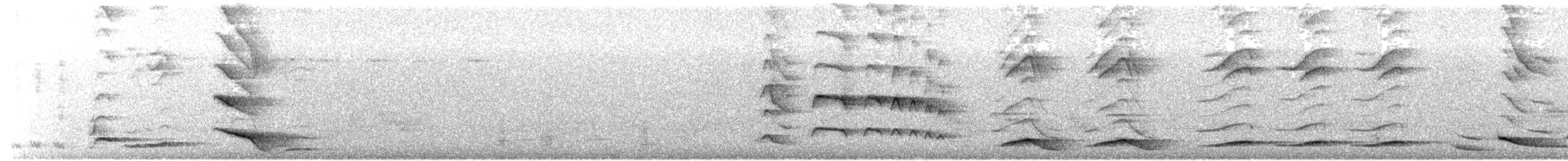 svartstrupelattertrost (chinensis gr.) - ML450293121