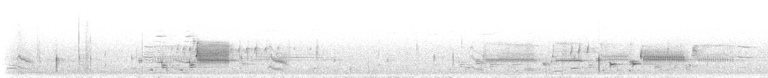 Forster's Tern - ML450304081