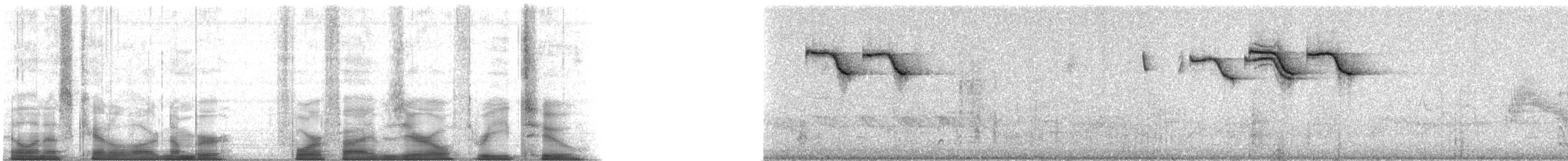 Black-crested Titmouse - ML45032