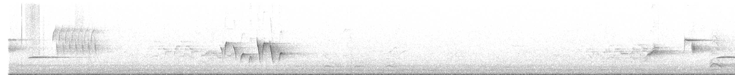 Connecticut Warbler - ML450333001