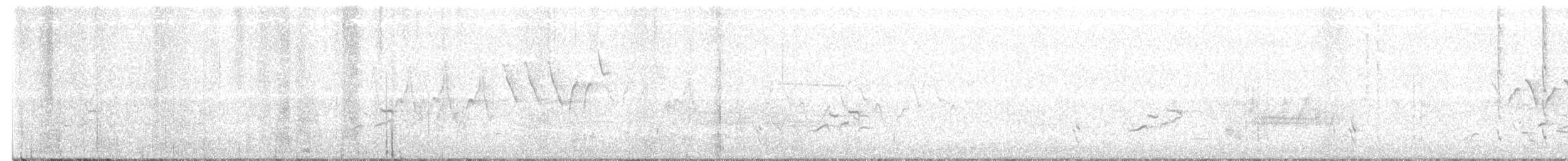 Lawrence's Warbler (hybrid) - ML450337321