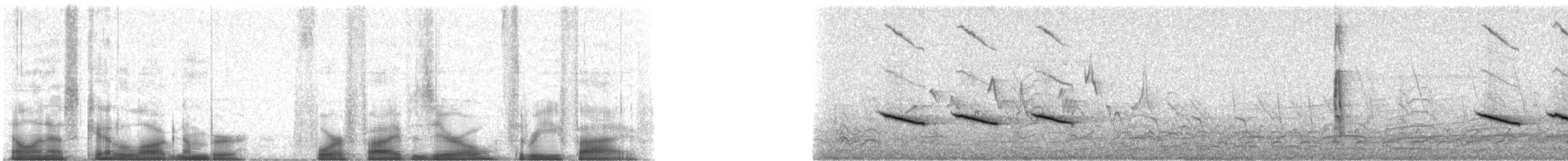 Black-crested Titmouse - ML45035