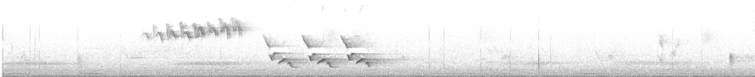 Bay-breasted Warbler - ML450383551