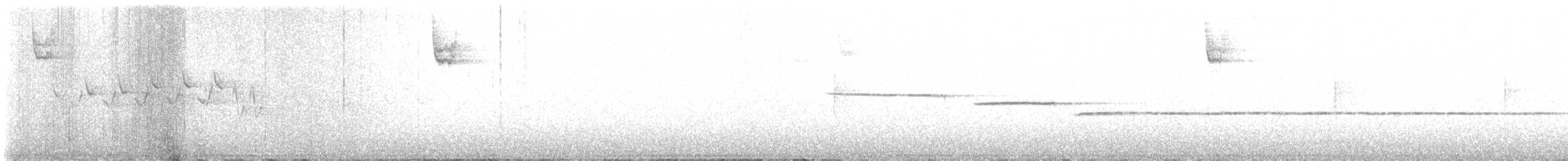 Белогорлая зонотрихия - ML450391621