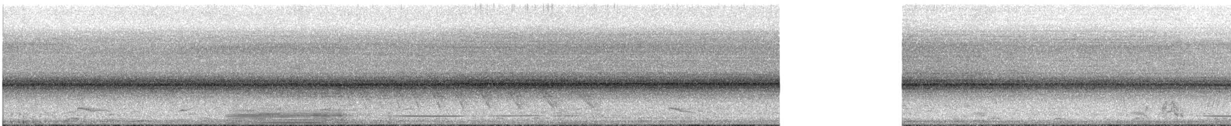 Красноногий скрытохвост - ML450407581