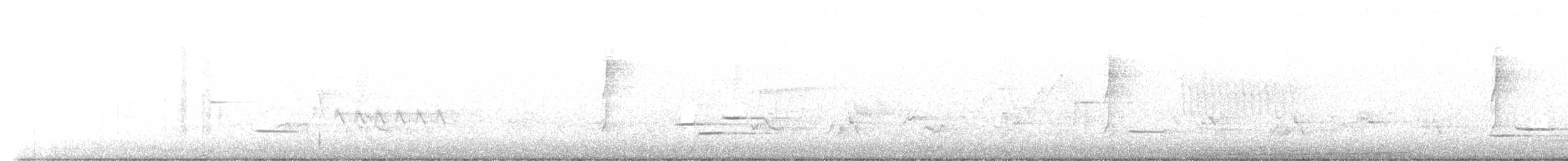 Connecticut Warbler - ML450470491