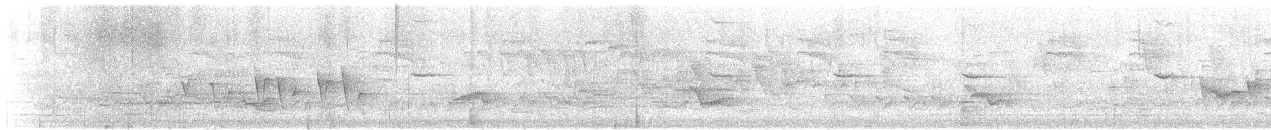 Connecticut Warbler - ML450489851