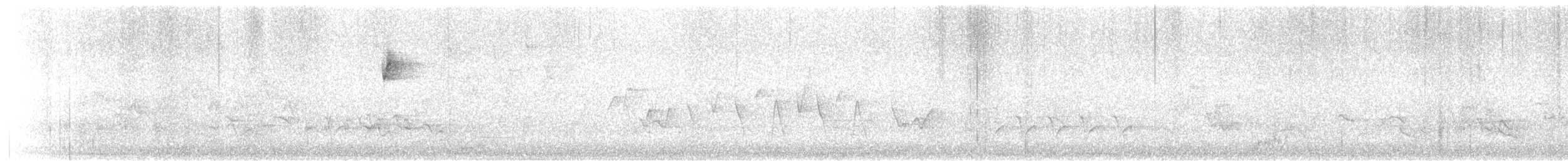 Connecticut Warbler - ML450489861