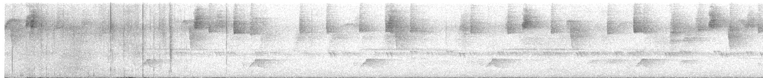 Gray-breasted Wood-Wren (Andean) - ML450494891