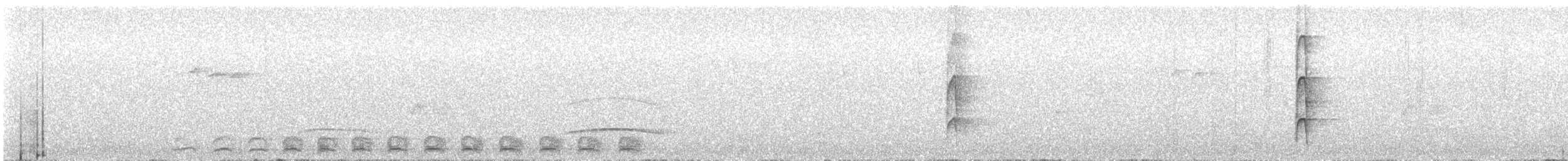 strakapoud hnědokřídlý - ML450500641