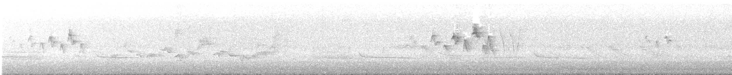 Paruline à tête cendrée - ML450520351