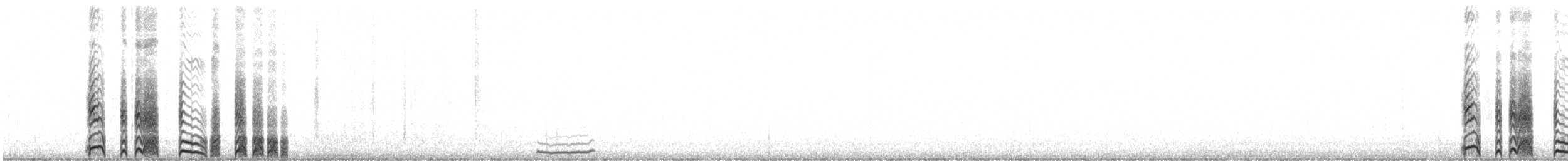 コシジロウミツバメ - ML450551651