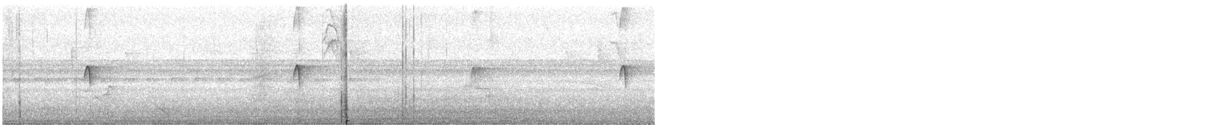 Black Phoebe - ML450646411